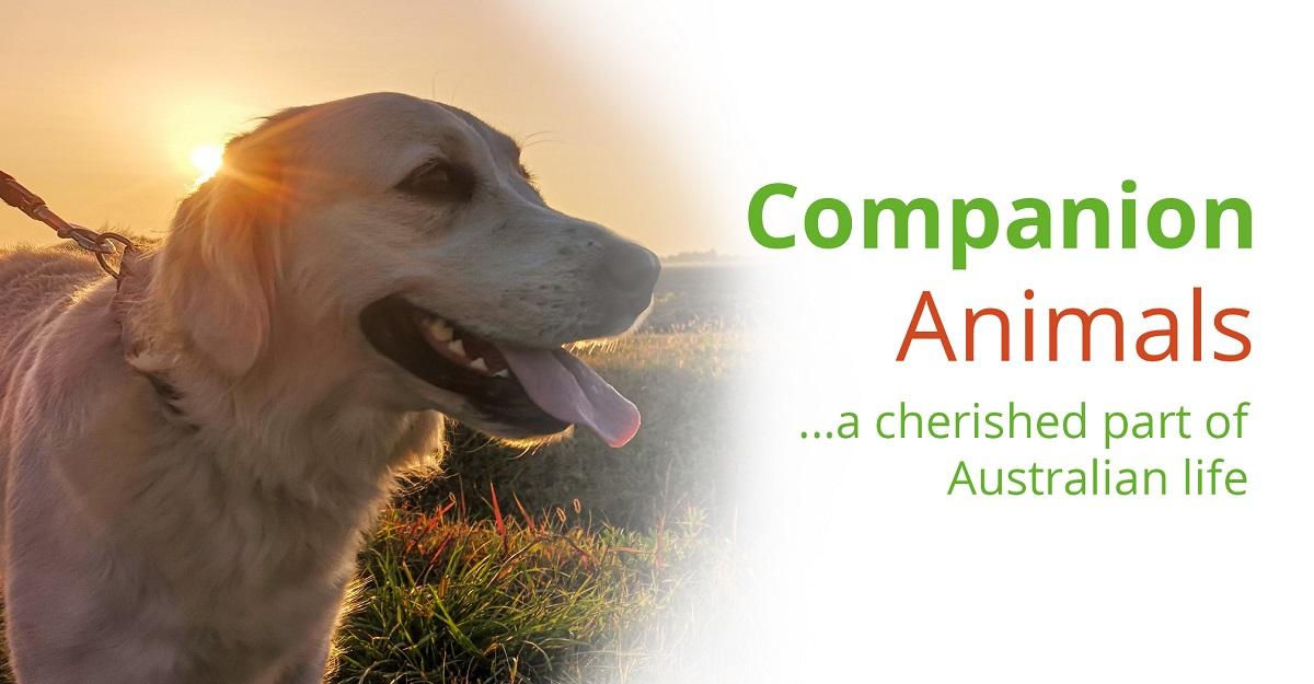 Companion Animals - Junee Council